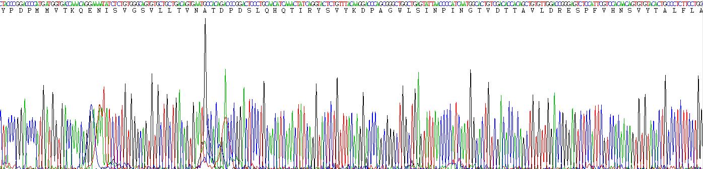 Recombinant Cadherin, Heart (CDHH)