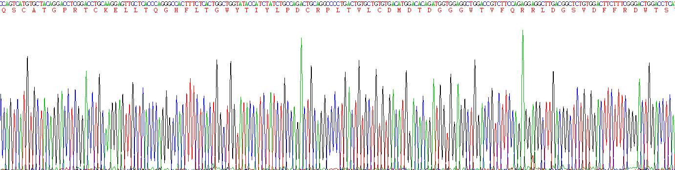 Recombinant Ficolin 2 (FCN2)