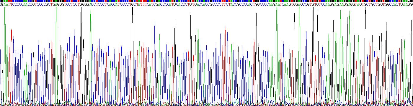 Recombinant Aggrecan (AGC)