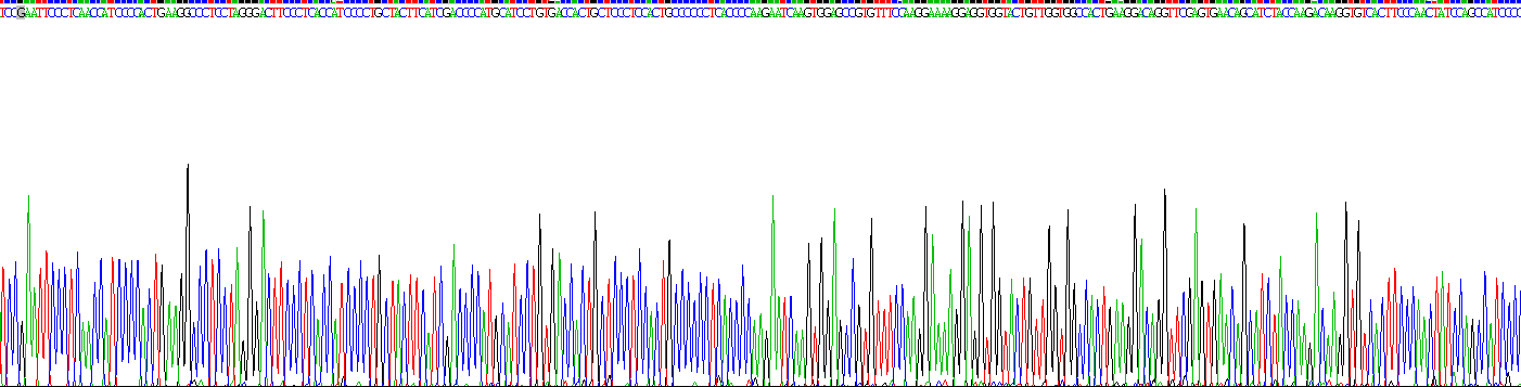 Recombinant Aggrecan (AGC)