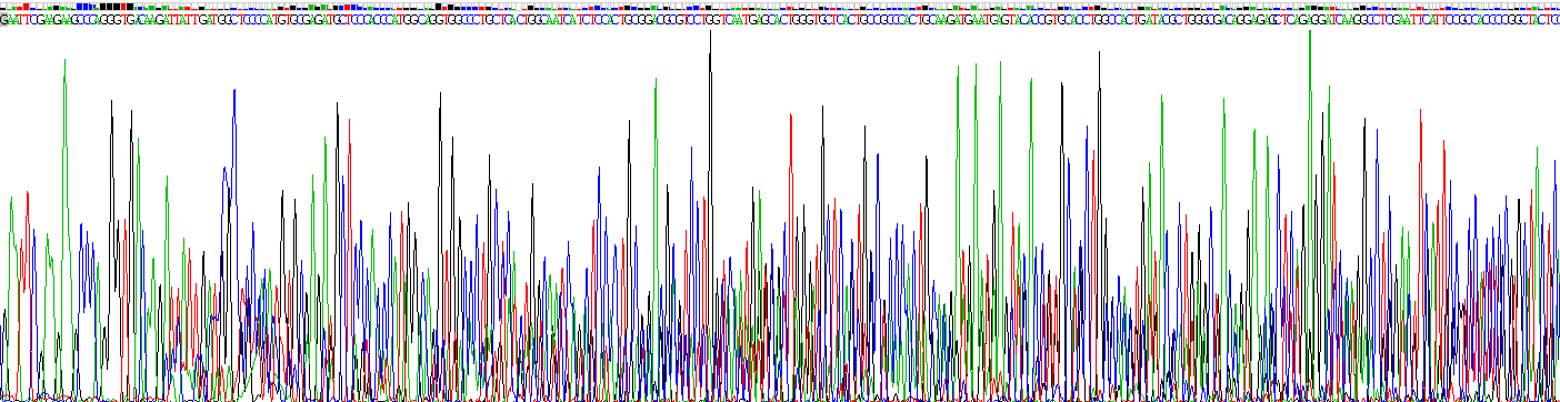 Recombinant Kallikrein 7 (KLK7)