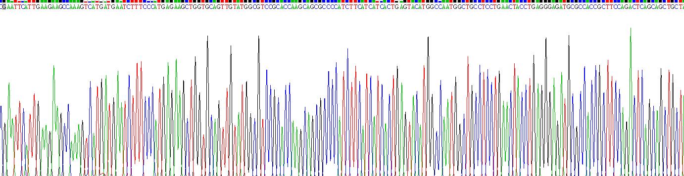 Recombinant Bruton'S Tyrosine Kinase (Btk)