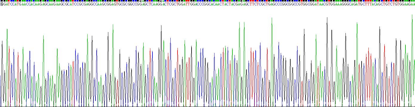 Recombinant Phosphatidylserine Receptor (PSR)