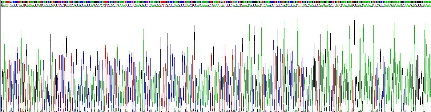 Recombinant Monokine Induced By Interferon Gamma (MIg)