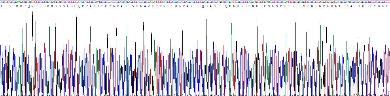 Recombinant Leucine Rich Alpha-2-Glycoprotein 1 (LRG1)