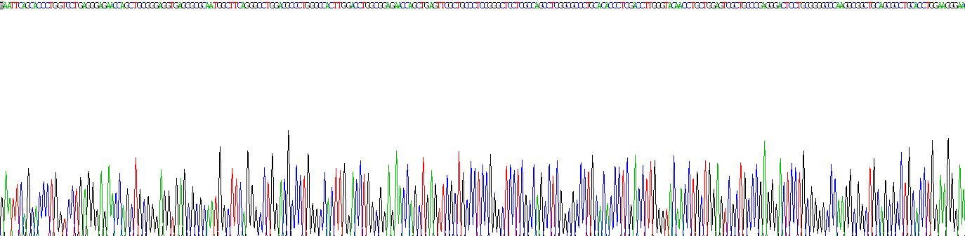 Recombinant Leucine Rich Alpha-2-Glycoprotein 1 (LRG1)