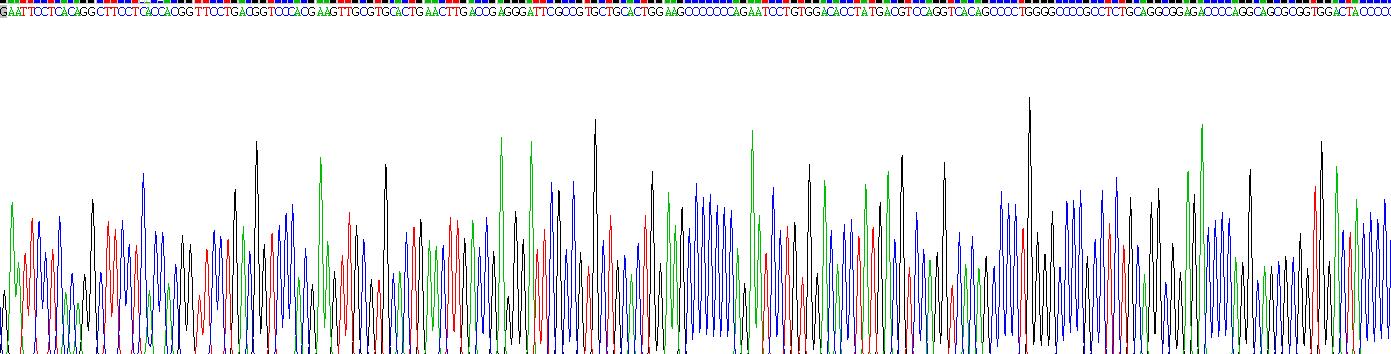 Recombinant Tenascin X (TNX)