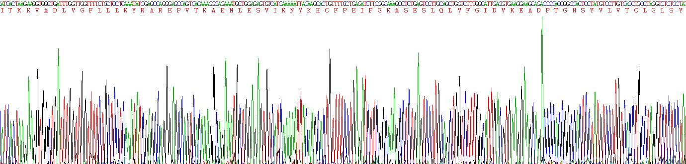 Recombinant Melanoma Antigen Family A1 (MAGEA1)