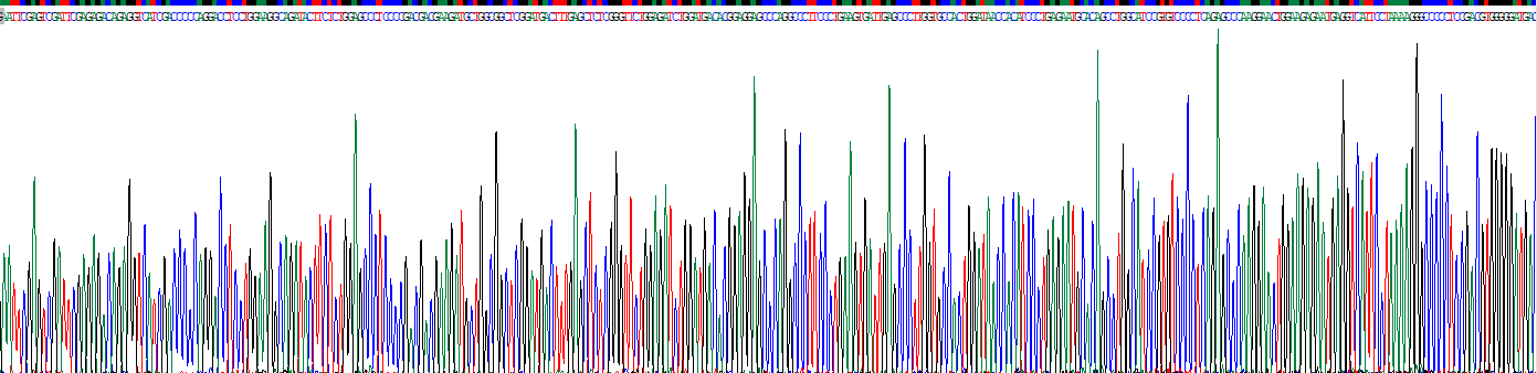 Recombinant Syndecan 4 (SDC4)