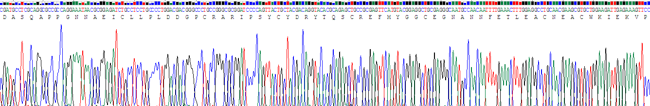 Recombinant Tissue Factor Pathway Inhibitor 2 (TFPI2)