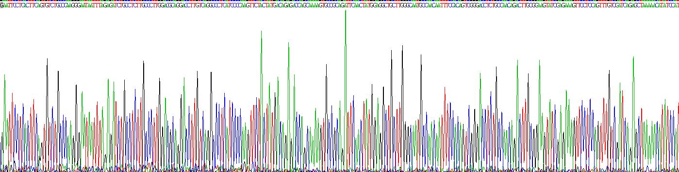 Recombinant Tissue Factor Pathway Inhibitor 2 (TFPI2)