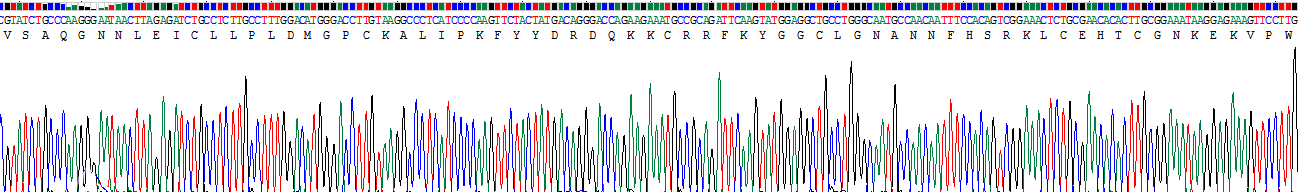 Recombinant Tissue Factor Pathway Inhibitor 2 (TFPI2)