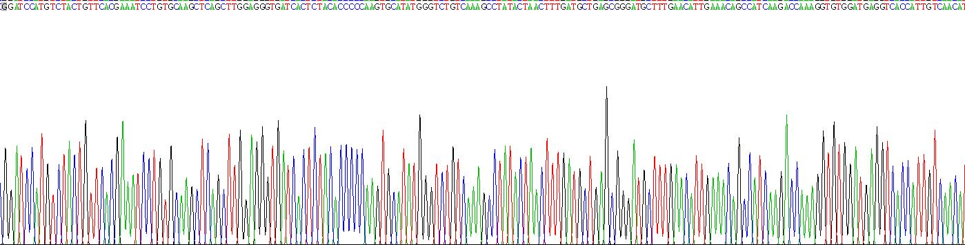 Recombinant Annexin A2 (ANXA2)