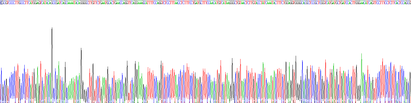 Recombinant Annexin A2 (ANXA2)