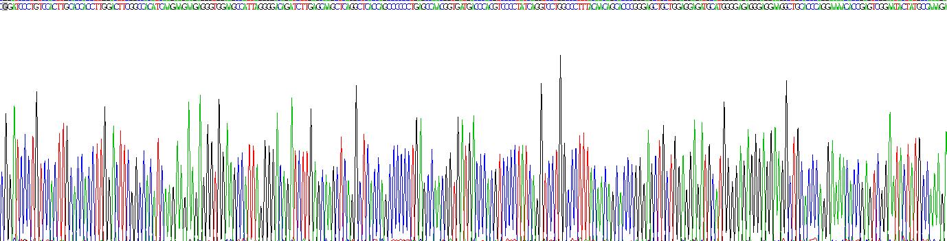 Recombinant Transforming Growth Factor Beta 3 (TGFb3)