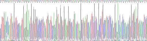 Recombinant Transforming Growth Factor Beta 3 (TGFb3)