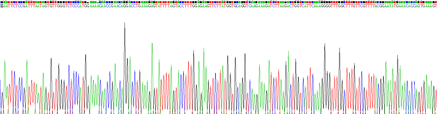 Recombinant Tar DNA Binding Protein 43kDa (TDP43)