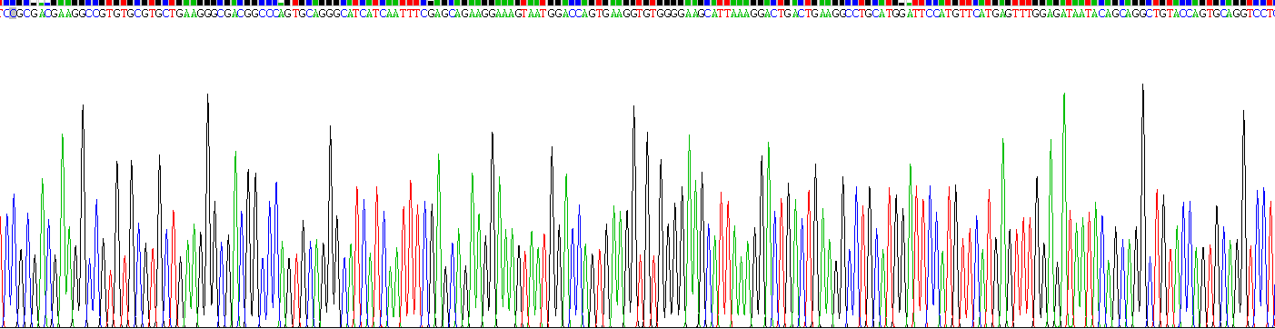 Recombinant Superoxide Dismutase 1 (SOD1)