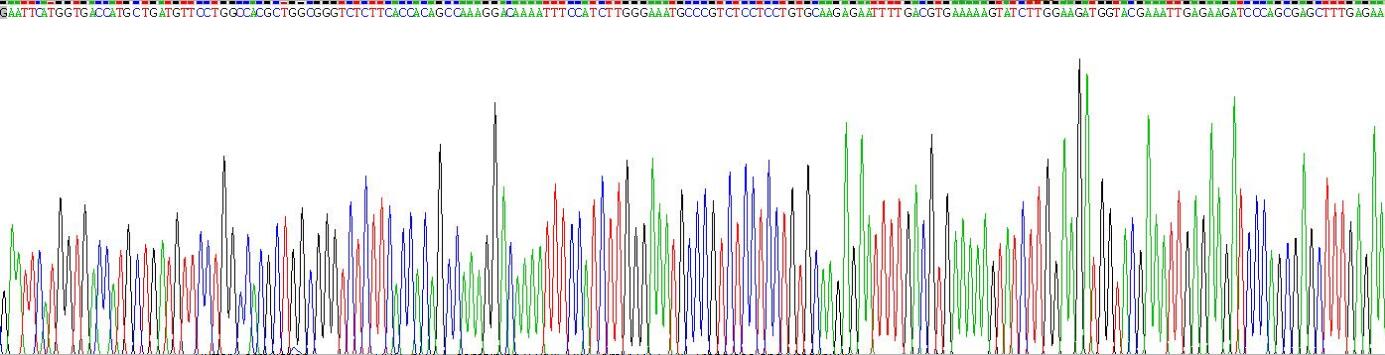 Recombinant Apolipoprotein D (APOD)