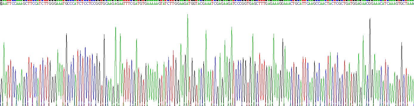 Recombinant Apolipoprotein D (APOD)