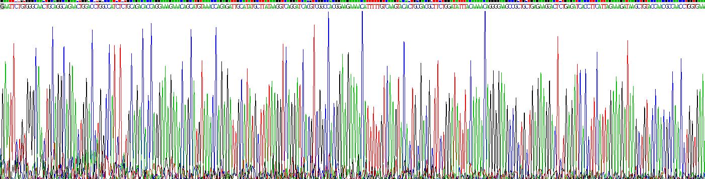 Recombinant Complement Component 5 (C5)