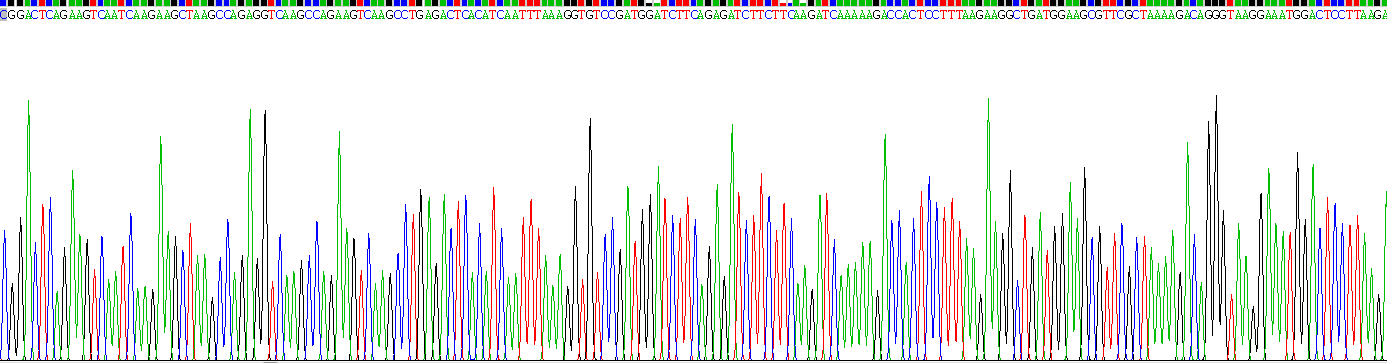 Recombinant Pigment Epithelium Derived Factor (PEDF)