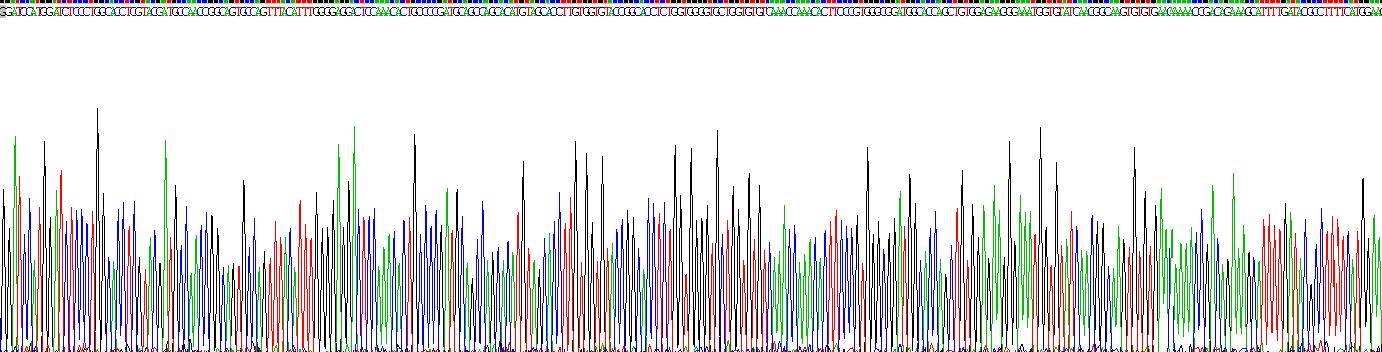 Recombinant A Disintegrin And Metalloproteinase With Thrombospondin 1 (ADAMTS1)