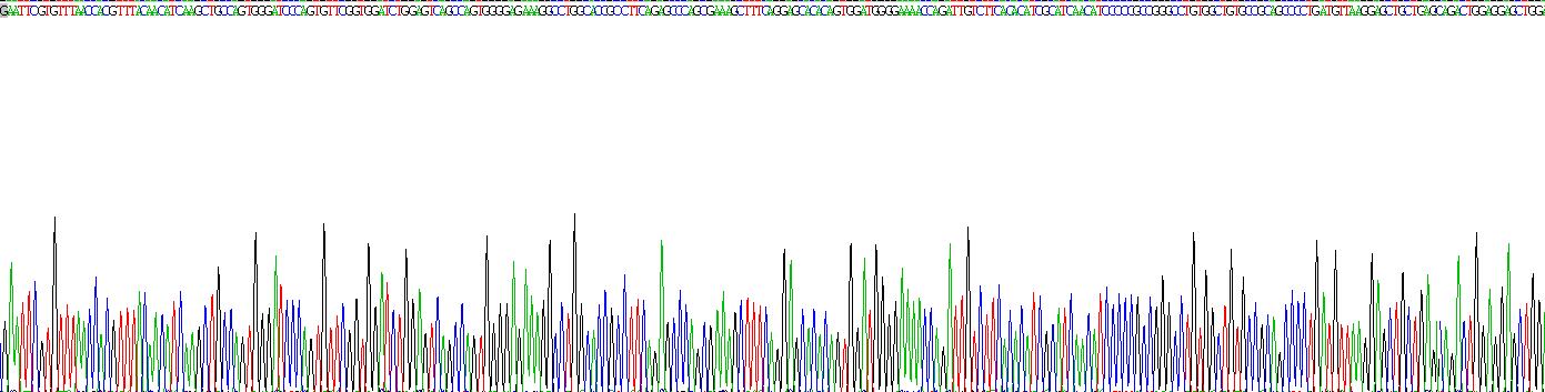 Recombinant Tenascin C (TNC)