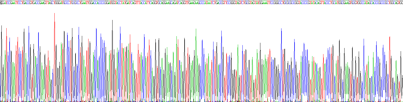 Recombinant Tenascin C (TNC)