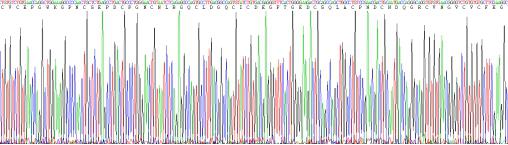 Recombinant Tenascin C (TNC)