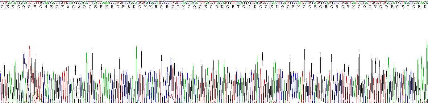 Recombinant Tenascin C (TNC)