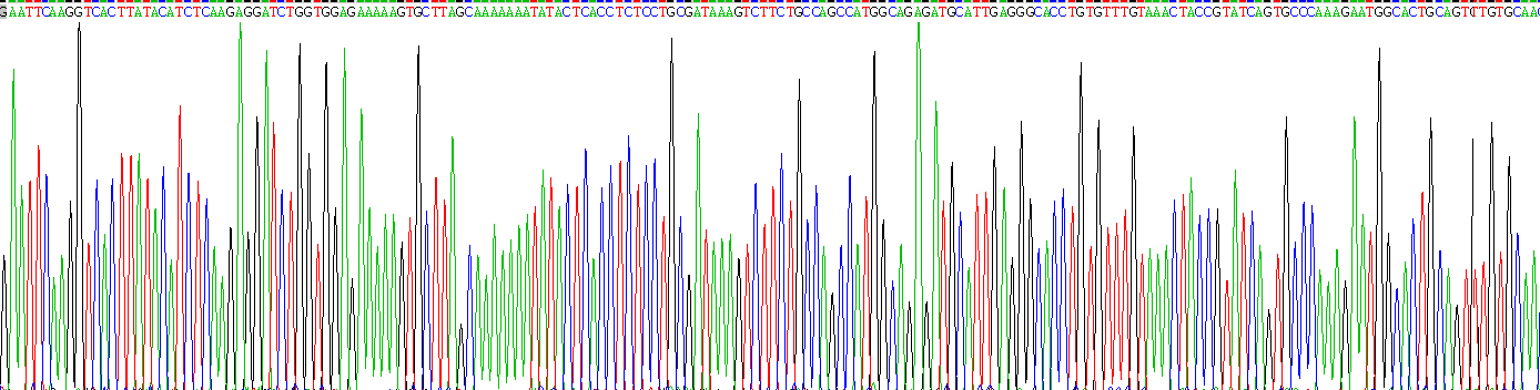 Recombinant Complement Factor I (CFI)