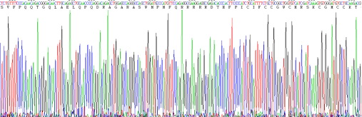 Recombinant Hepcidin (Hepc)