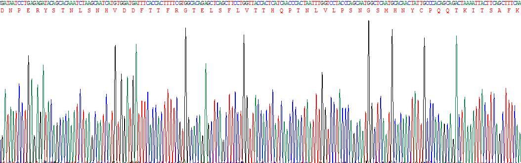 Recombinant Endothelin Receptor A (ETRA)