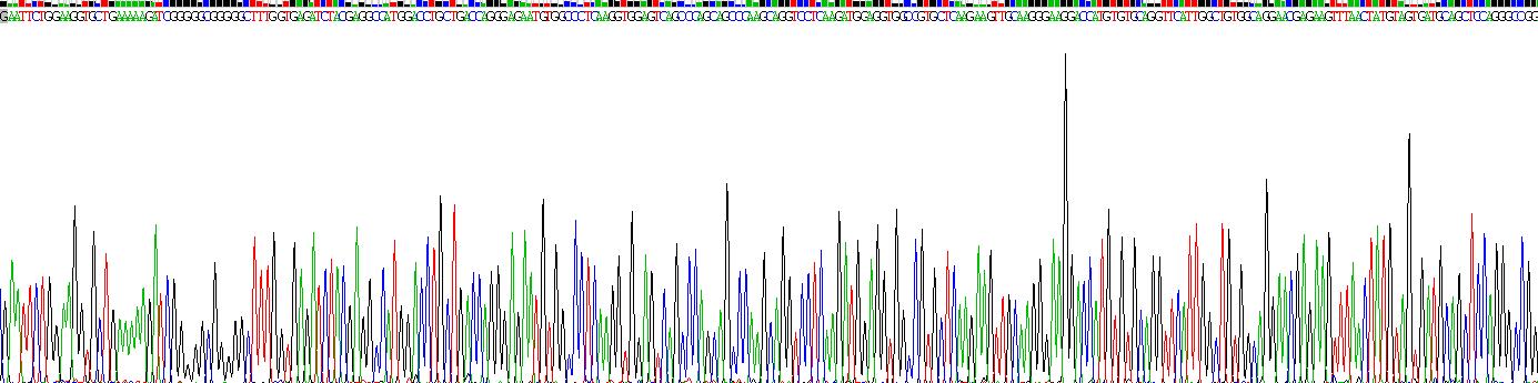 Recombinant Tau-Protein Kinase 1 (tPK1)