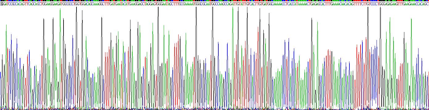 Recombinant Fatty Acid Binding Protein 5 (FABP5)