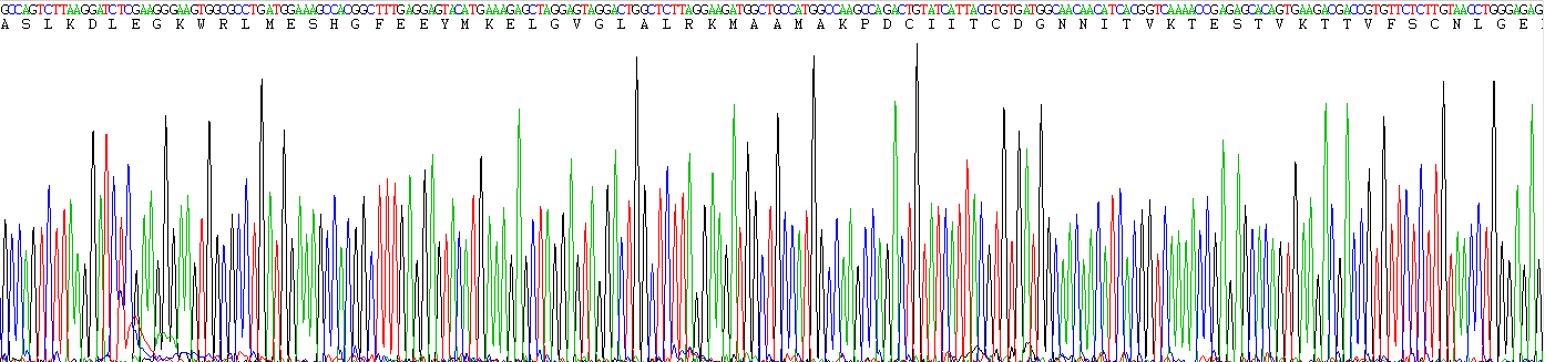 Recombinant Fatty Acid Binding Protein 5 (FABP5)