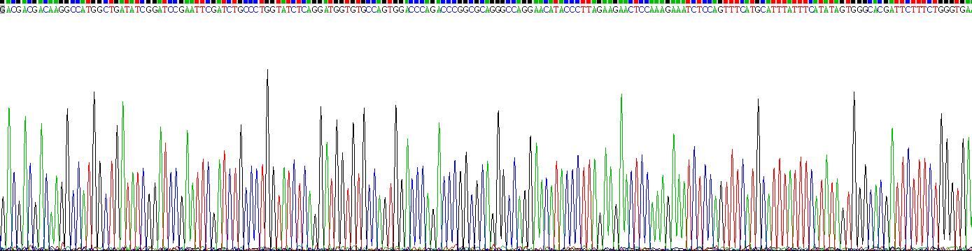 Recombinant Toll Like Receptor 1 (TLR1)