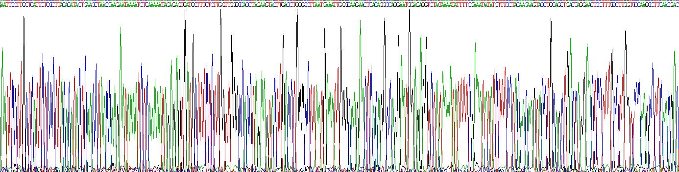 Recombinant Toll Like Receptor 3 (TLR3)