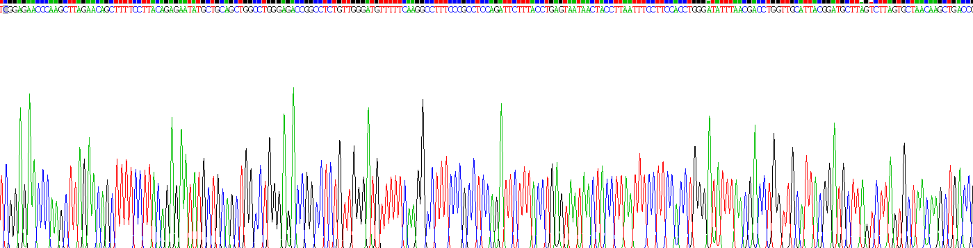 Recombinant Toll Like Receptor 5 (TLR5)