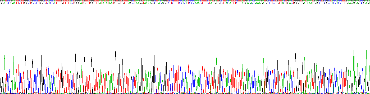 Recombinant Toll Like Receptor 8 (TLR8)