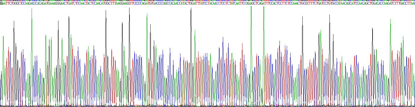 Recombinant Toll Like Receptor 10 (TLR10)