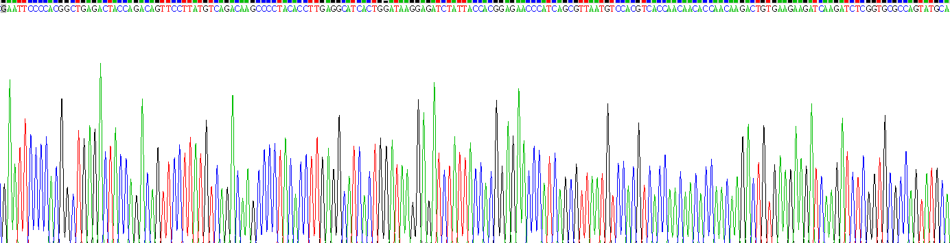 Recombinant Arrestin Beta 1 (ARRb1)