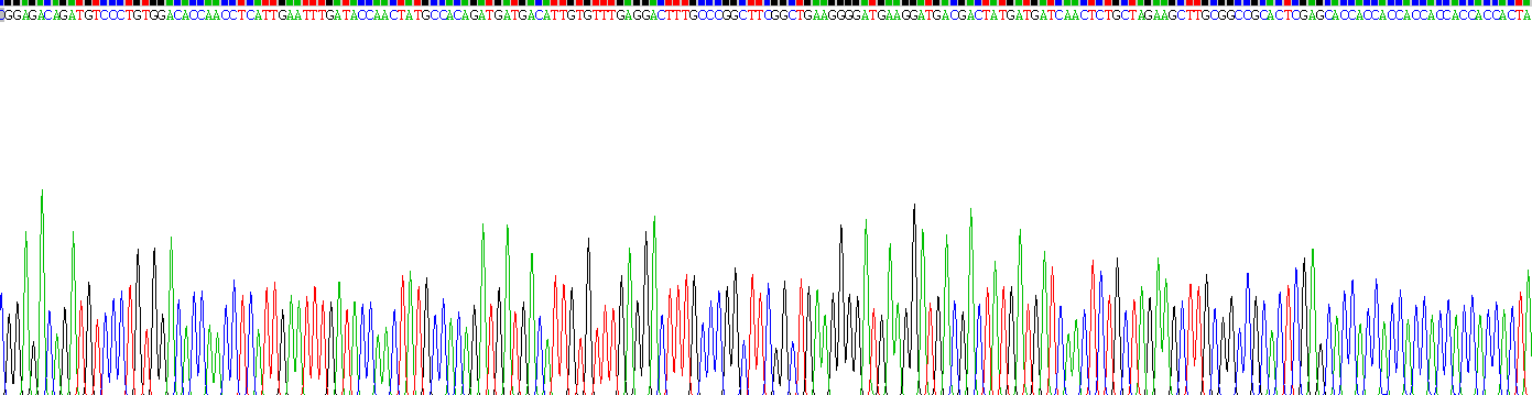 Recombinant Arrestin Beta 2 (ARRb2)