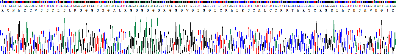 Recombinant Hemojuvelin (HJV)