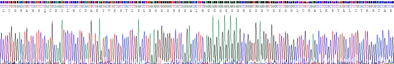 Recombinant Hemojuvelin (HJV)