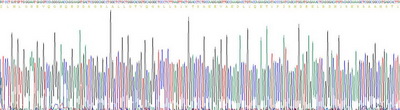 Recombinant Apolipoprotein C2 (APOC2)