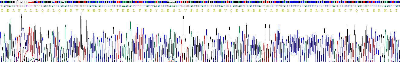 Recombinant Apolipoprotein A5 (APOA5)