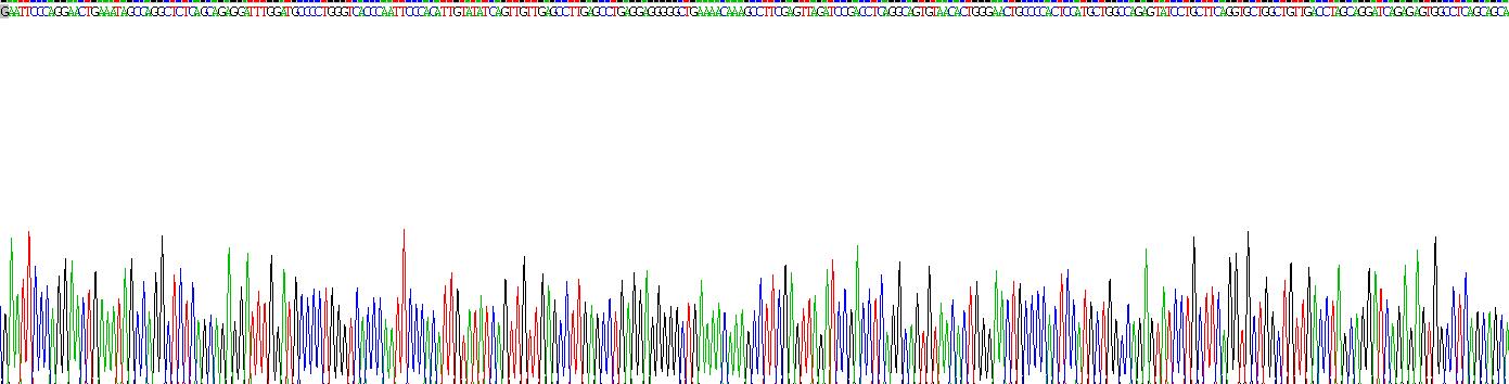 Recombinant Cadherin 16 (CDH16)