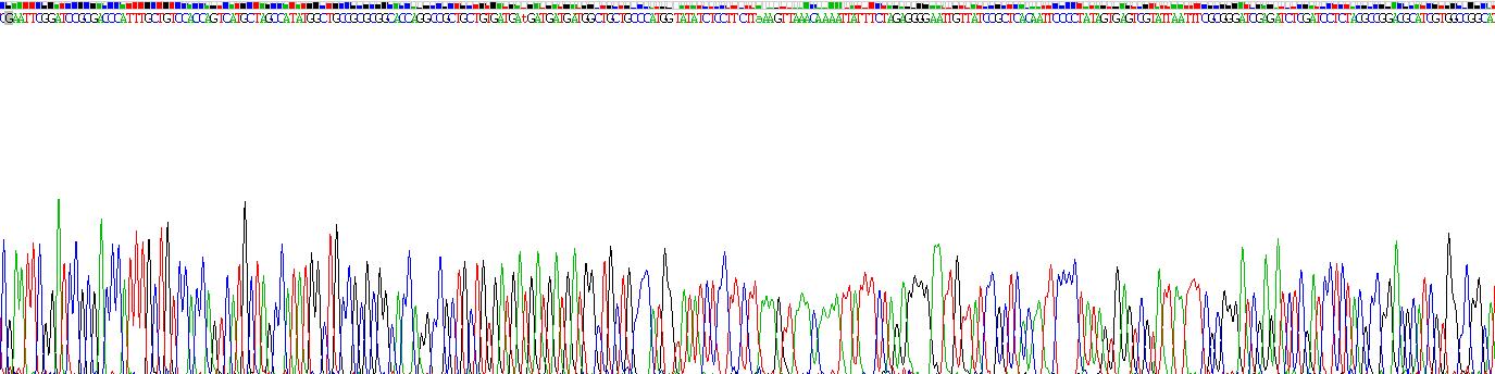 Recombinant Apolipoprotein B (APOB)